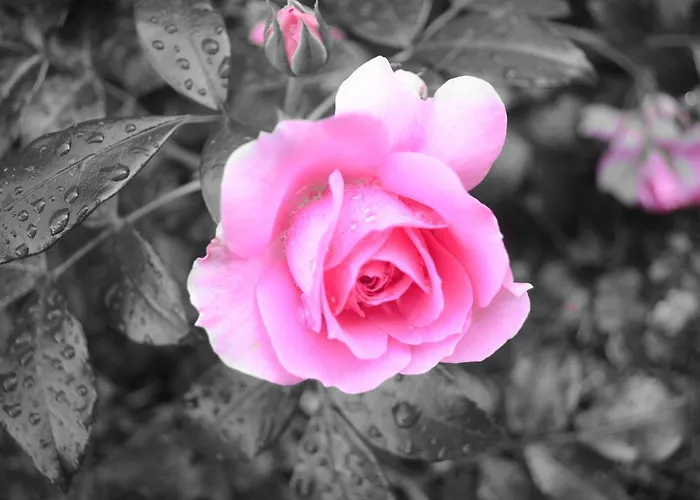 Appartement Klein & Fein