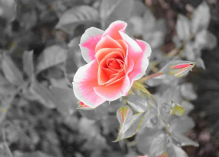 Klein & Fein Apartamento Schlitters